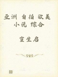 亚洲 自拍 欧美 小说 综合